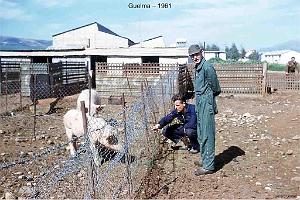 133-AERODROMES-ET-BASES-1945-1962-1-GUELMA (16)